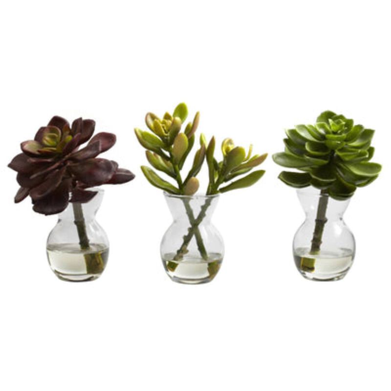 Hivvago Succulent Arrangements (Set of 3)