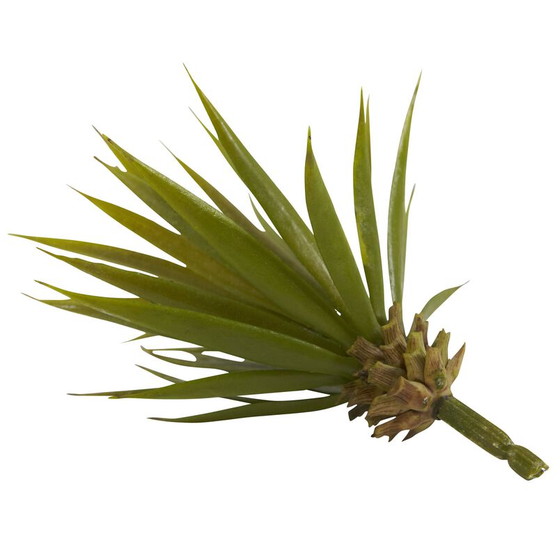 Hivvago Mini Spiky Agave Succulent Plant (Set of 12)