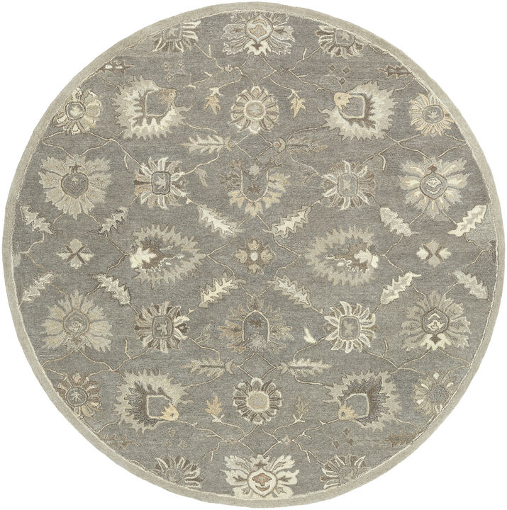Caesar CAE-1199 6' x 9' Gray Rug