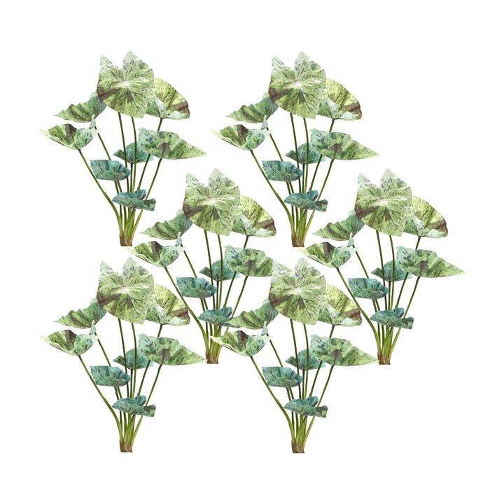 Variegated Caladium Foliage Bush for Lush Home Décor and Floral Arrangements (Set of 6)