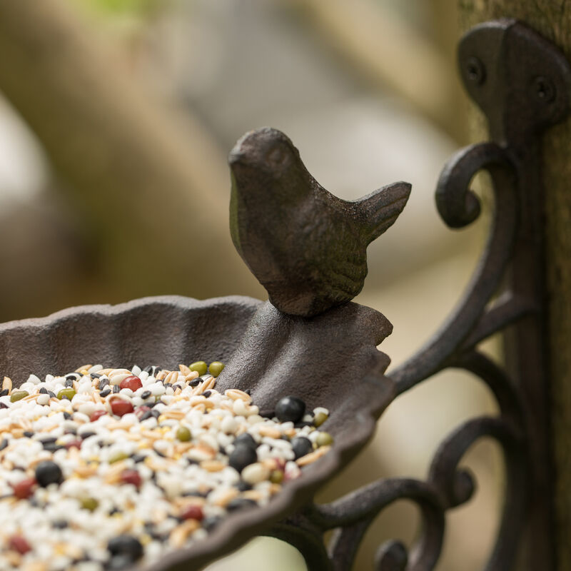 Outdoor Garden Wall Mounted Hanging Iron Bird Bath and Feeder Decor, Bronze
