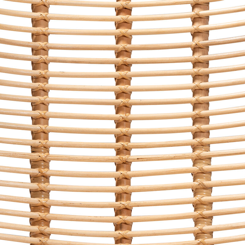 Bali & Pari Colorado Natural Rattan Modern Accent Chair