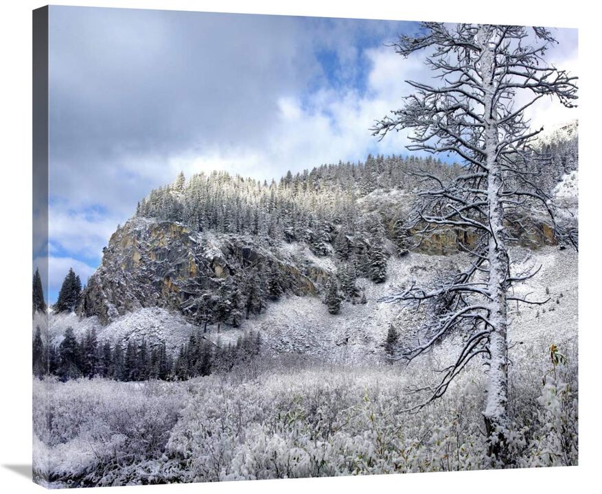 Light snow covering Boulder Mountains, Idaho-Canvas Art-30x26.4