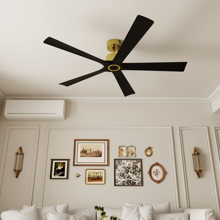 FUFU&GAGA Ceiling Fan 30-in with Black Blades Indoor/Outdoor Ceiling Fan Remote (5-Blade),Black