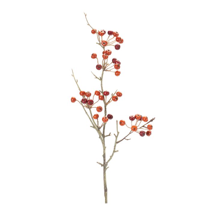 Variegated Berry Pod Spray (Set of 12)