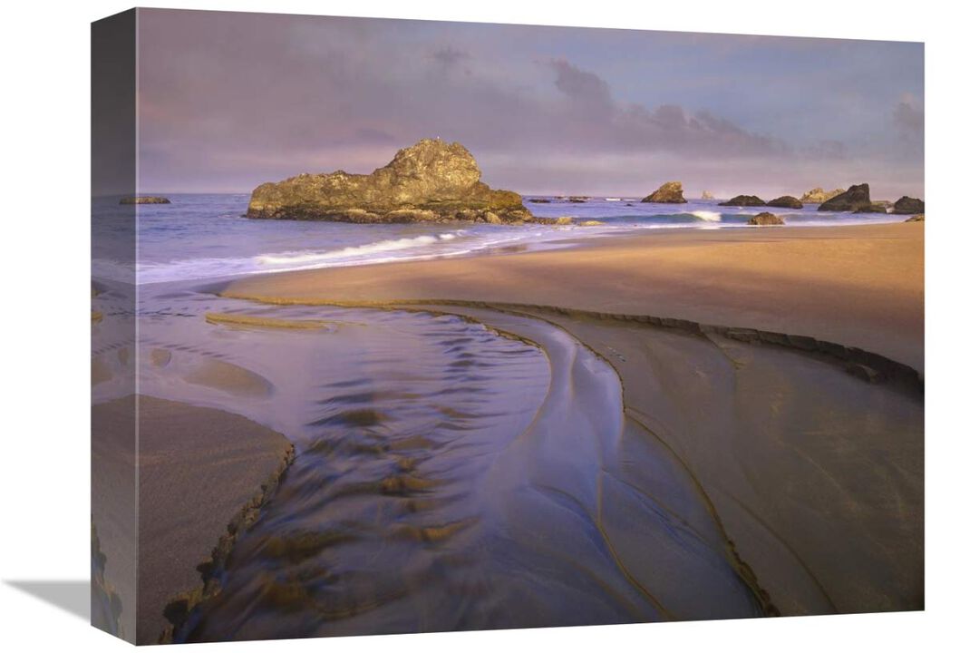 Creek flowing into ocean at Harris Beach State Park, Oregon-Canvas Art-16x12
