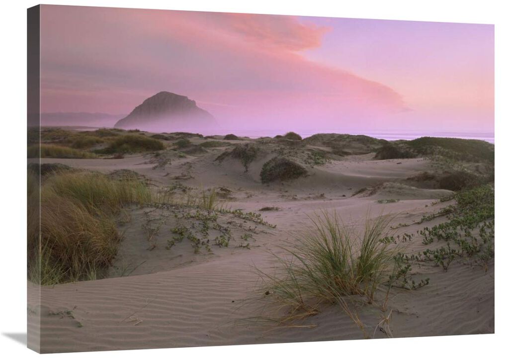 Morro Rock at Morro Bay, California-Canvas Art-32x24