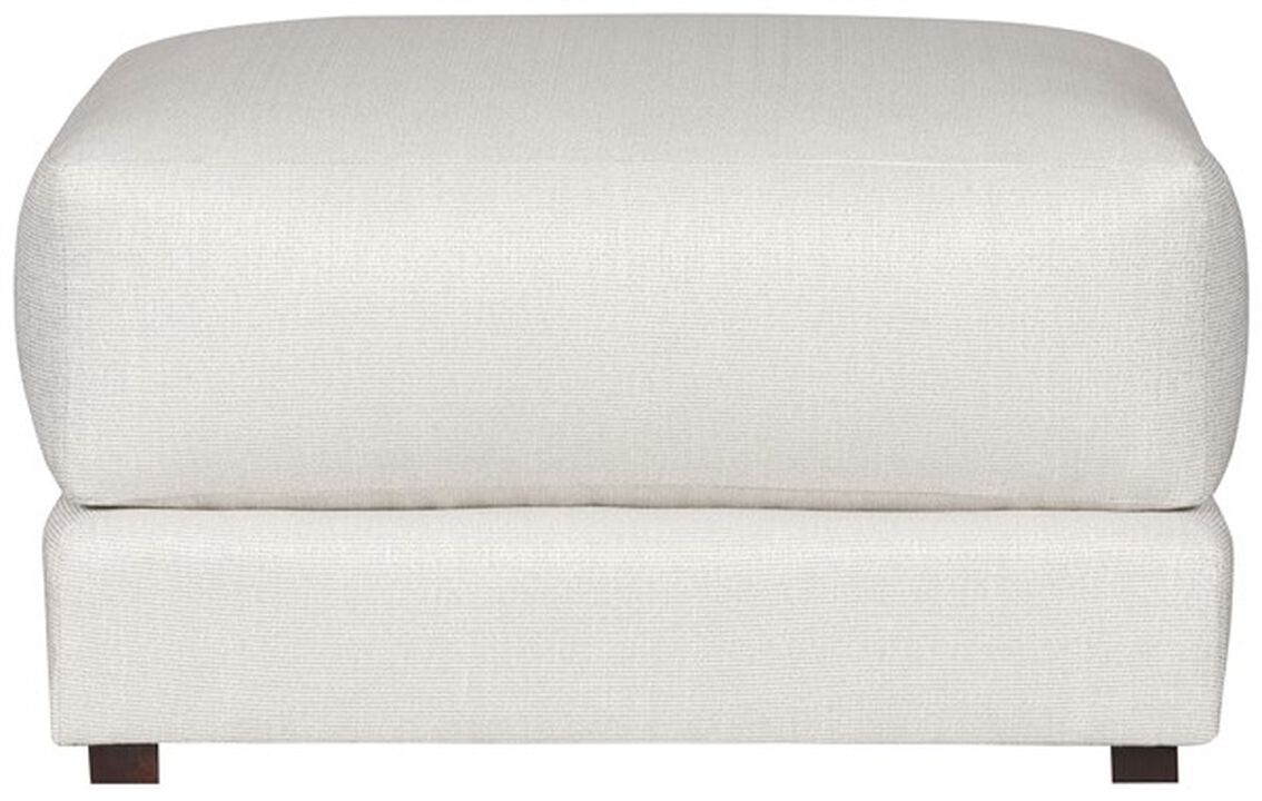 Dove Bumper