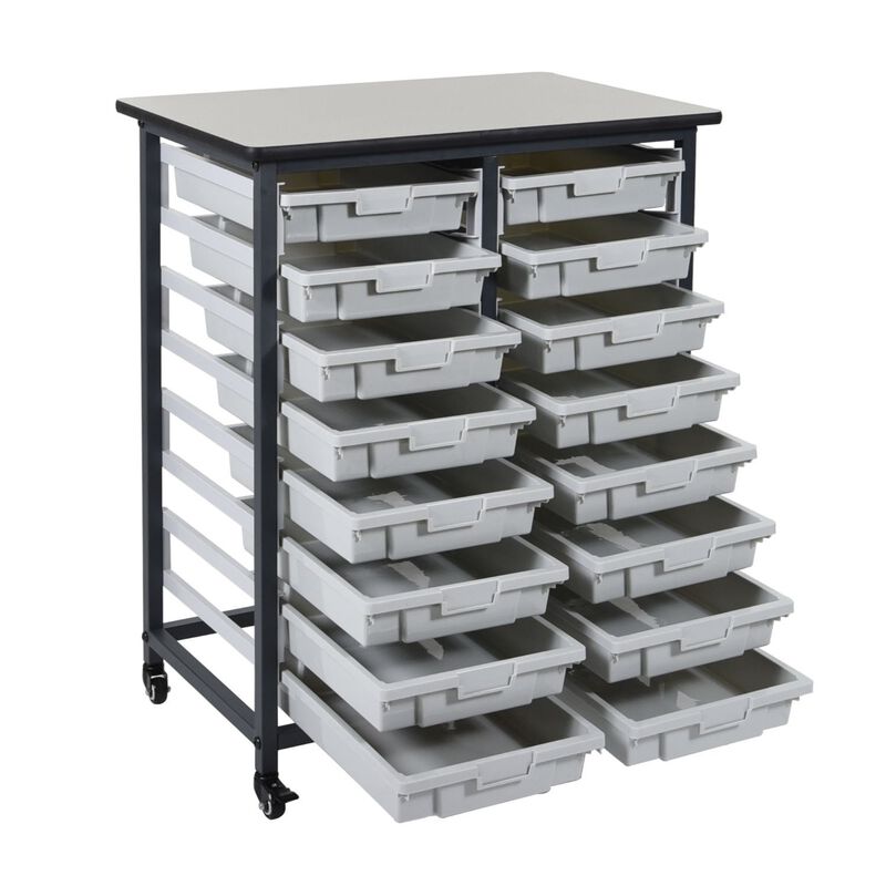 Ergode Double Row Steel Frame Mobile Bin Storage Unit with 16 Bins