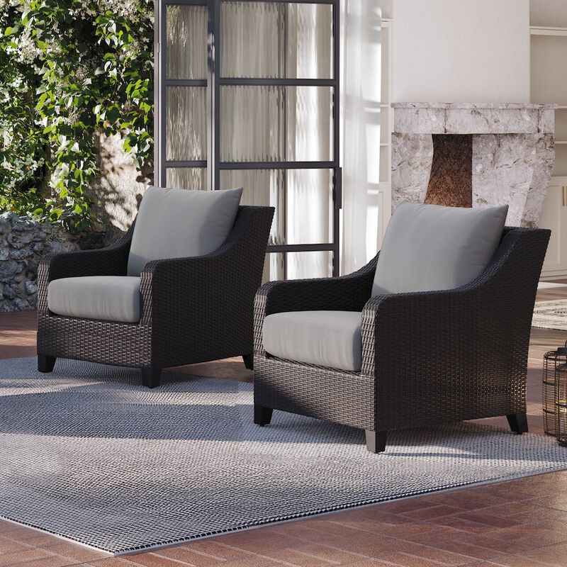 New Classic Furniture Skye Set Of 2 Club Chairs-Gray