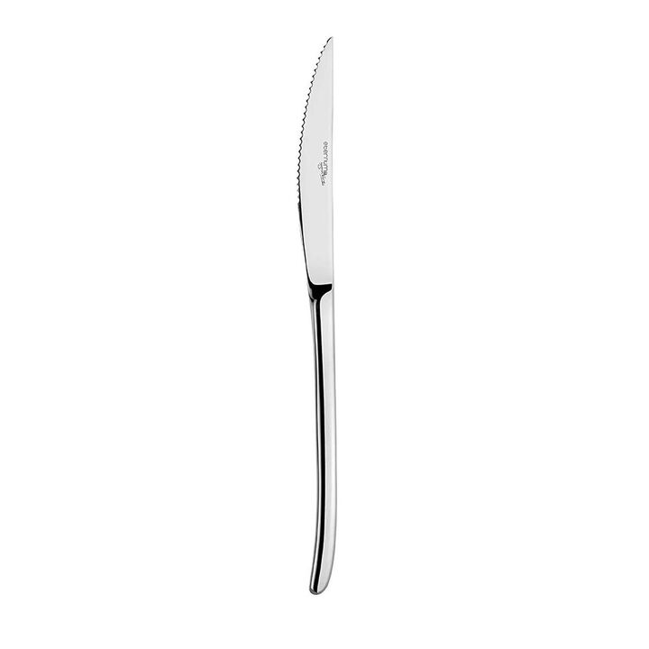 Flatware X-Lo 9.75"  Silver Stainless Steel Steak Knife 18/10 (Set of 12)