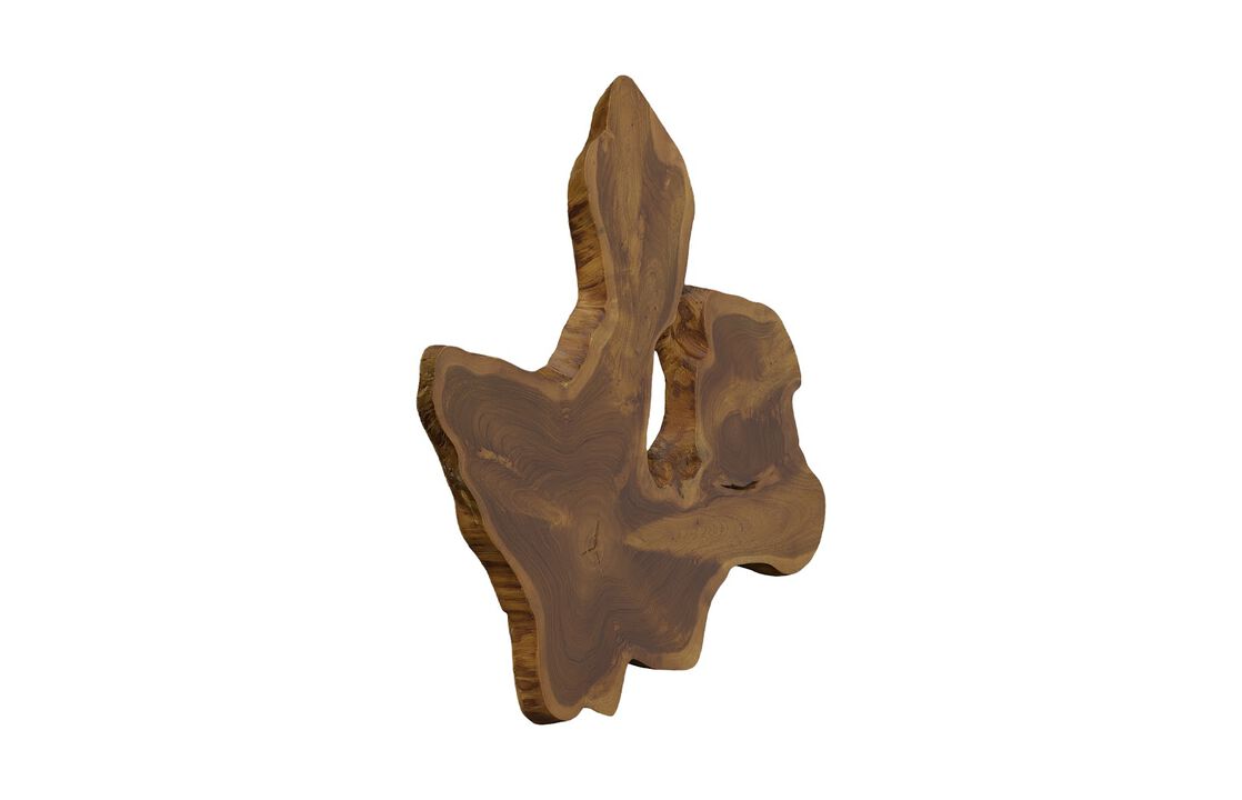 Freeform Teak Wall Slice