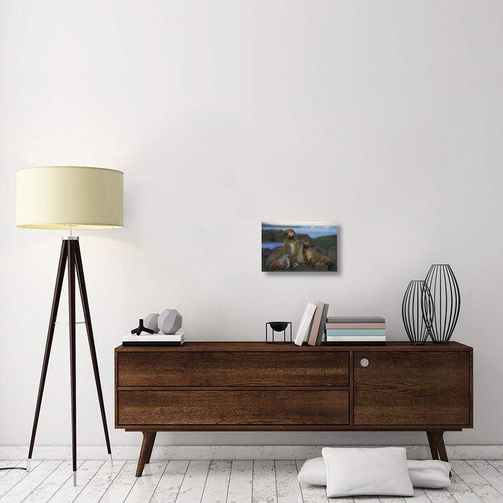 Galapagos Islands Fur Seal cow and pup, Cape Douglas, Galapagos Islands-Canvas Art-18x12