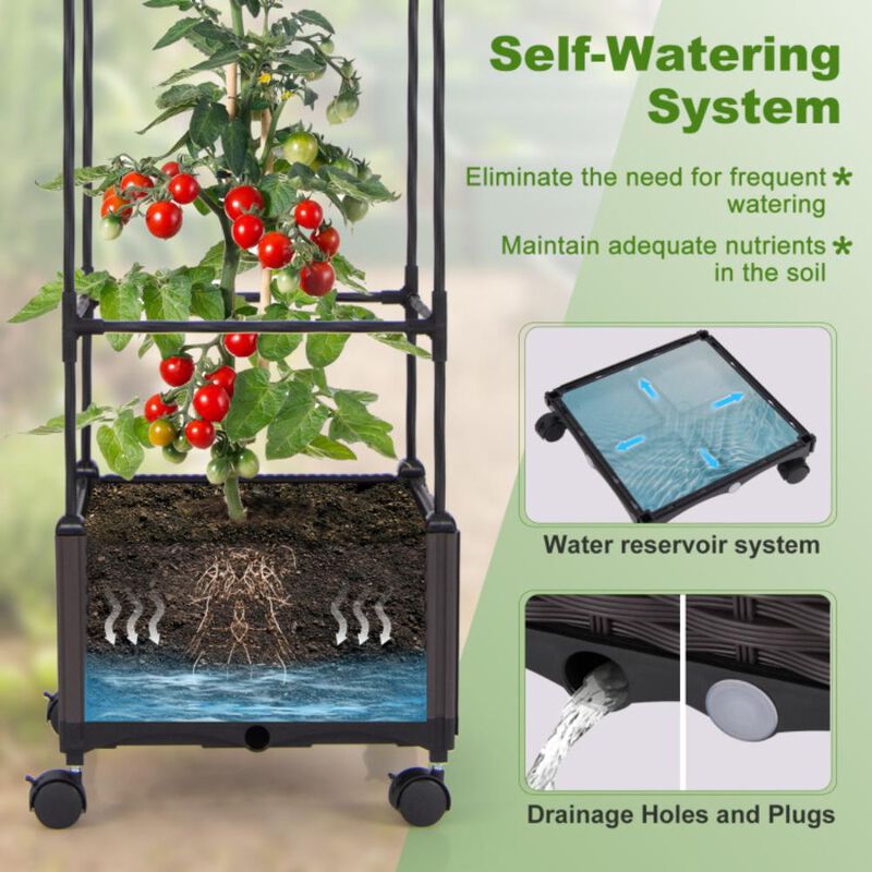 Hivvago 67 Inches Raised Garden Bed with Planter Box and Trellis