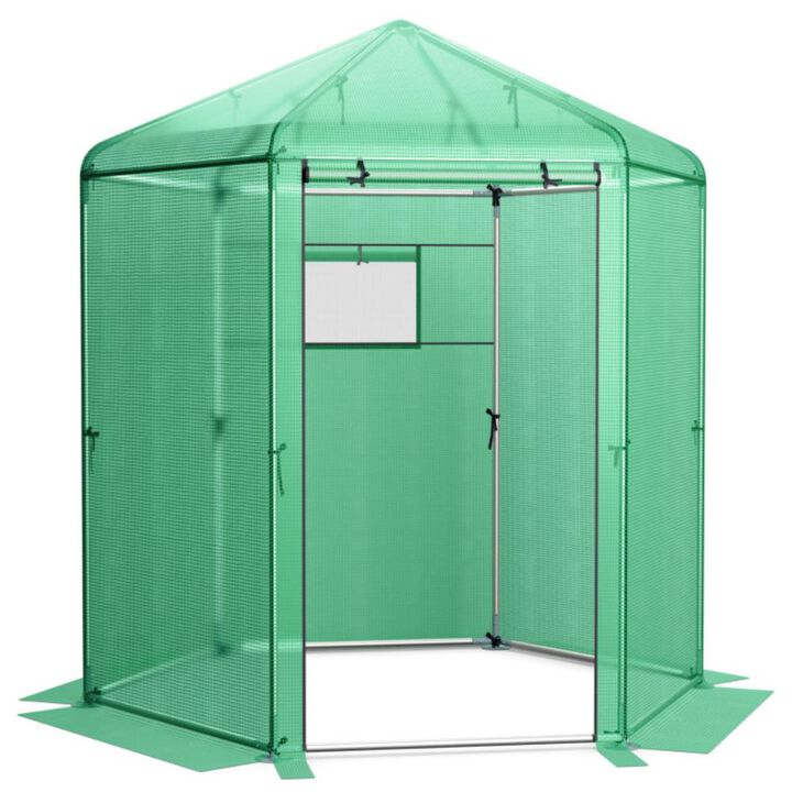 Hivvago Walk-In Hexagonal Greenhouse with PE Cover and Metal Frame