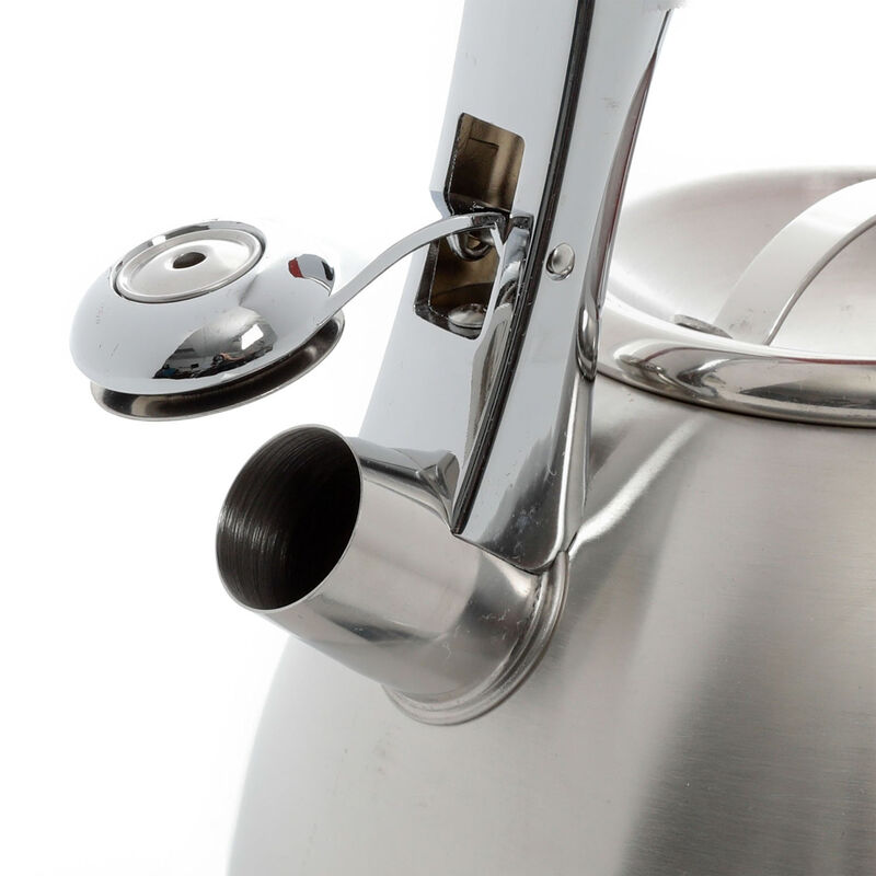 Mr Coffee Collinsbrook 2.4 Quart Stainless Steel Whistling Tea Kettle