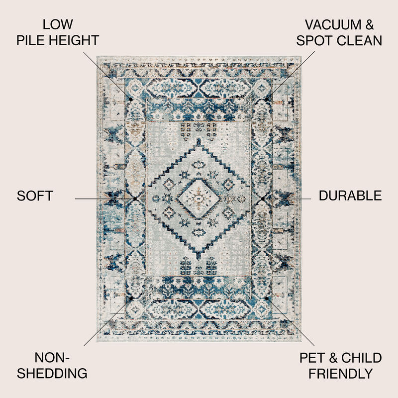 Osuna Diamond Vintage Medallion Area Rug