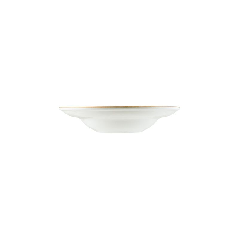 Calif dia.10.75" h:2.25" 16 oz. Round Decorated Porcelain Bowl (Set of 2)