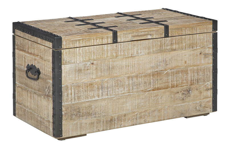 Dartland Whitewash Storage Trunk