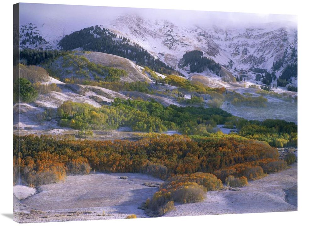 Elk Mountains with dusting of snow, Colorado-Canvas Art-40x30