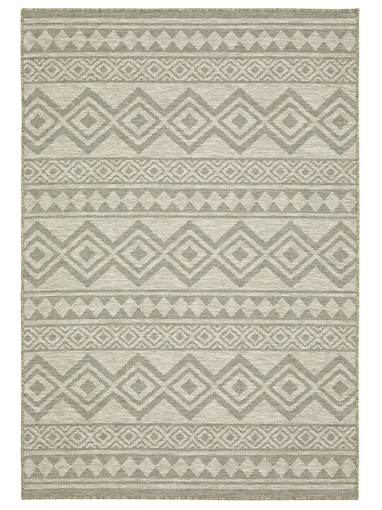 Tortuga 3'3" x 5' Beige Rug