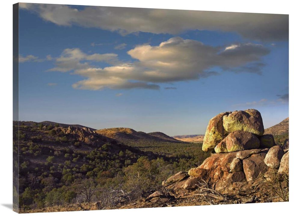Rockpile, Davis Mountains, Chihuahuan Desert, Texas-Canvas Art-40x30