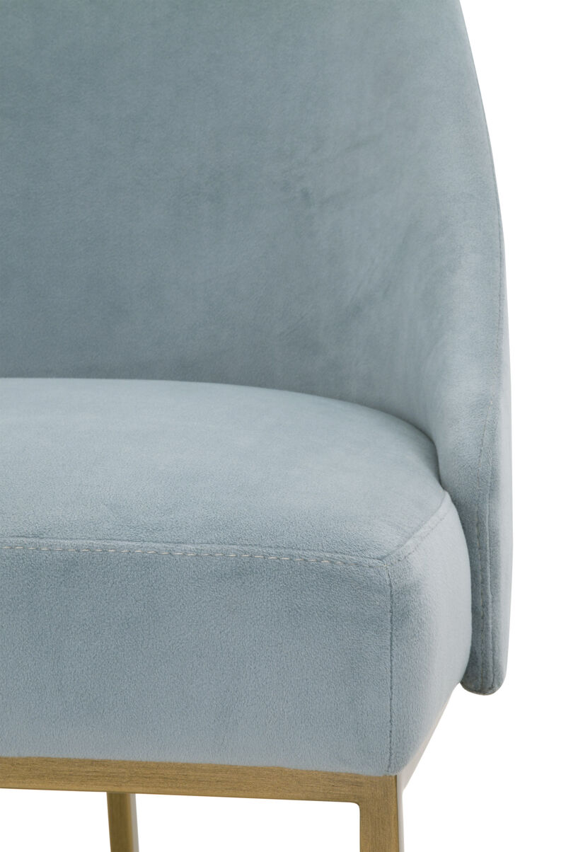 Parissa Dining Chair (Set of 2)