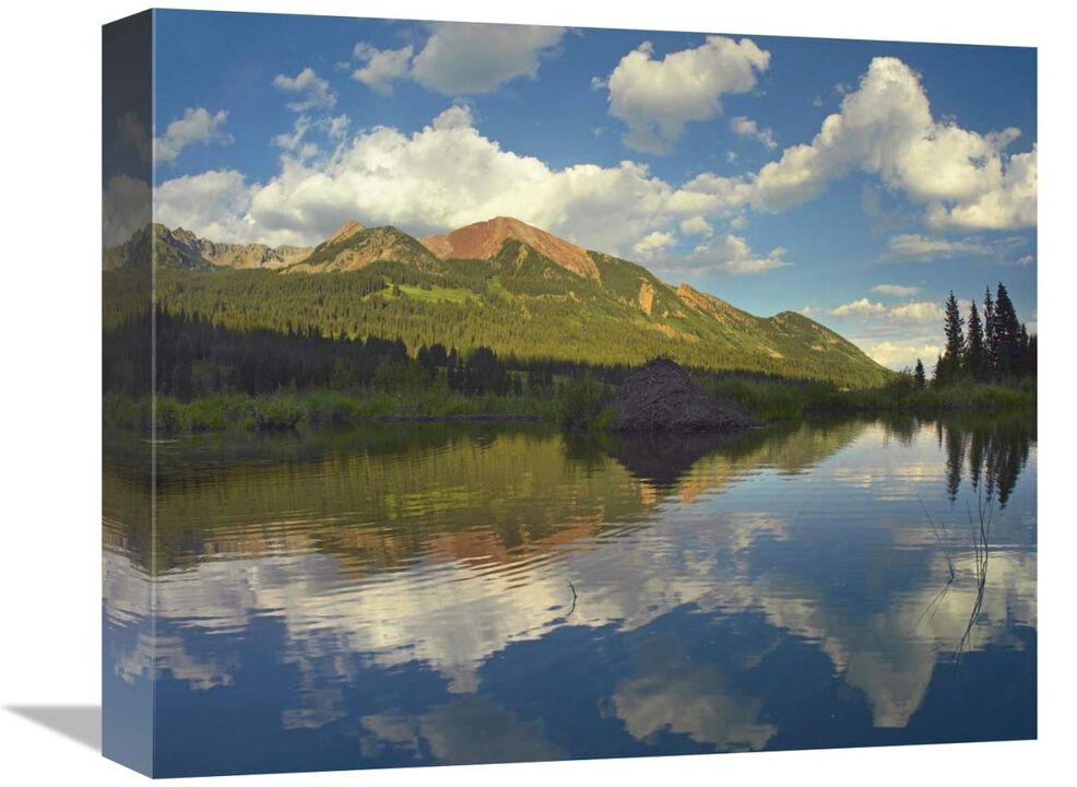 Avery Peak reflected in beaver pond, San Juan Mountains, Colorado-Canvas Art-16x13.28