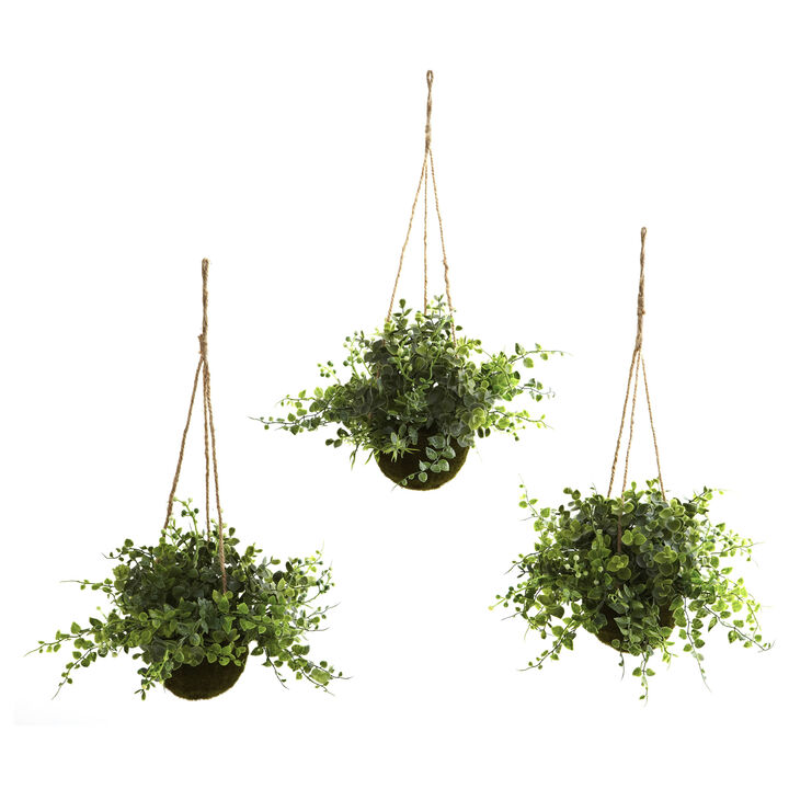 Hivvago Eucalyptus, Maiden Hair & Berry Hanging Basket (Set of 3)