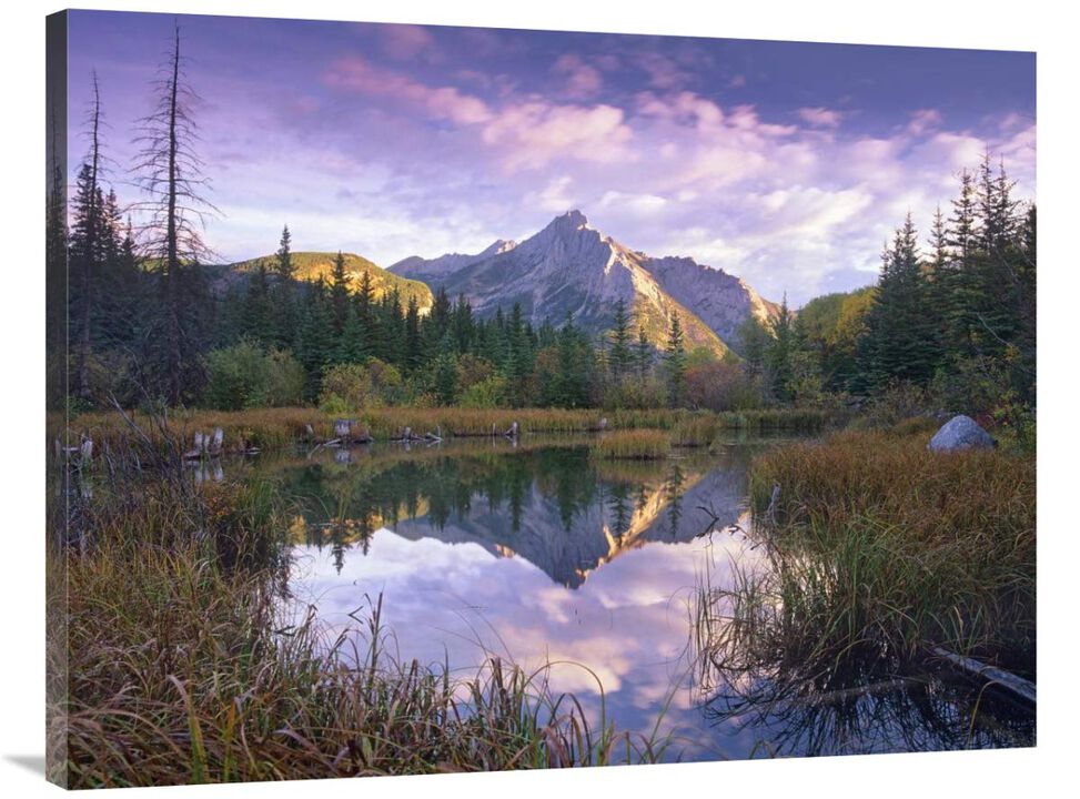Mount Lorette and spruce trees reflected in lake, Alberta, Canada-Canvas Art-40x30