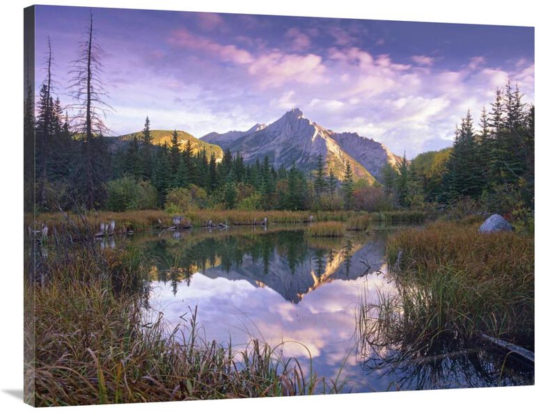 Mount Lorette and spruce trees reflected in lake, Alberta, Canada-Canvas Art-40x30