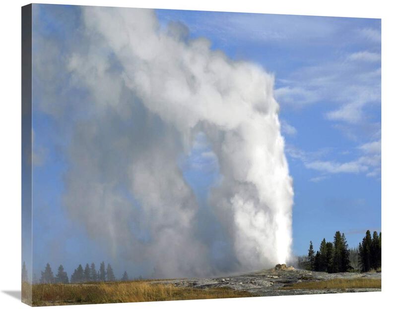 Old Faithful geyser spouting, Yellowstone National Park, Wyoming-Canvas Art-30x24.9