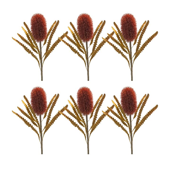 Burnt Banksia Floral Stem for Rustic Home Décor and Natural Floral Arrangements (Set of 6)