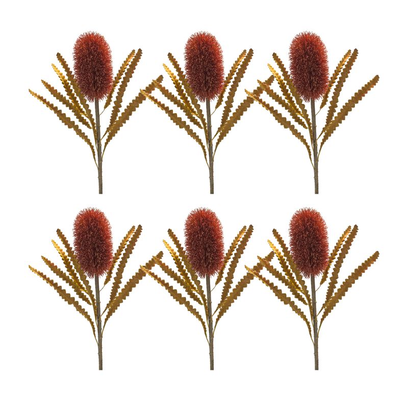 Burnt Banksia Floral Stem for Rustic Home Décor and Natural Floral Arrangements (Set of 6)