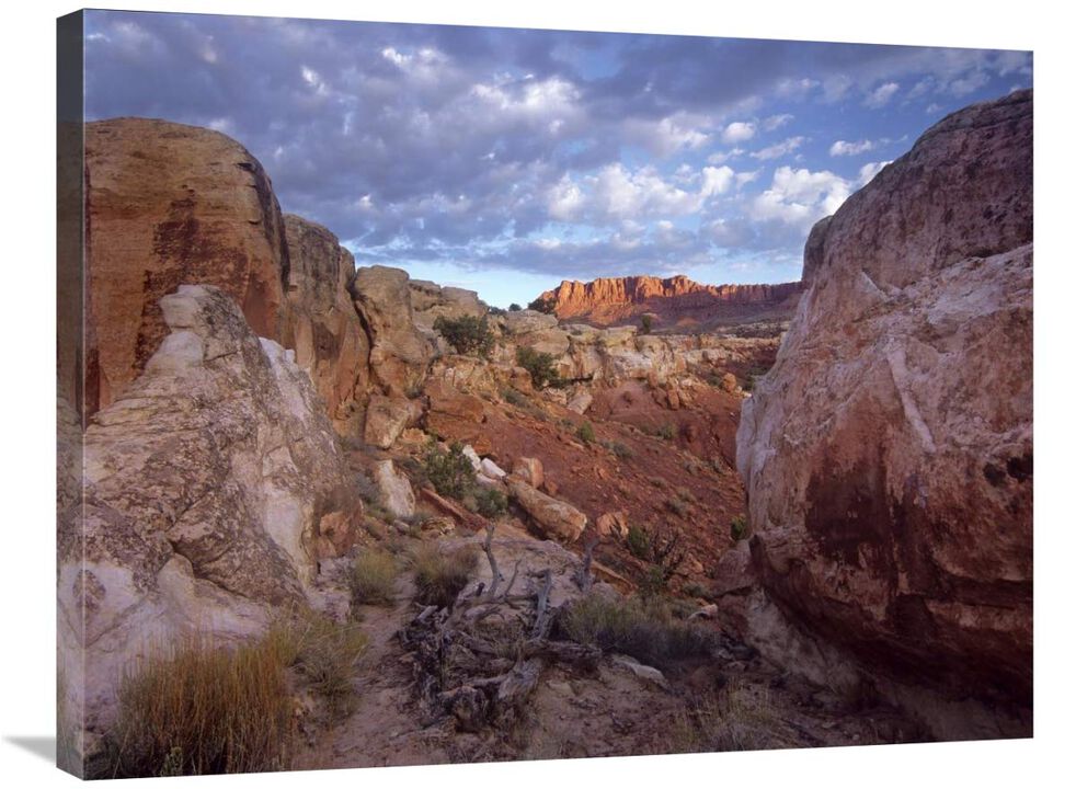 Meeks Mesa, Capitol Reef National Park, Utah-Canvas Art-32x24
