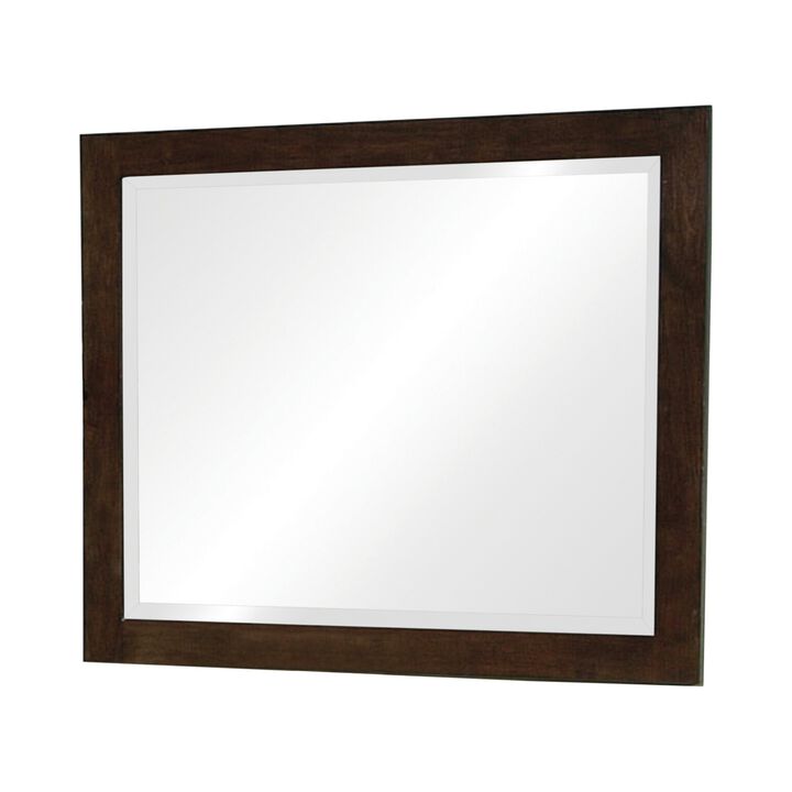 40 Inch Solid Wood Modern Mirror, Portrait, Framed, Cappuccino Brown-Benzara