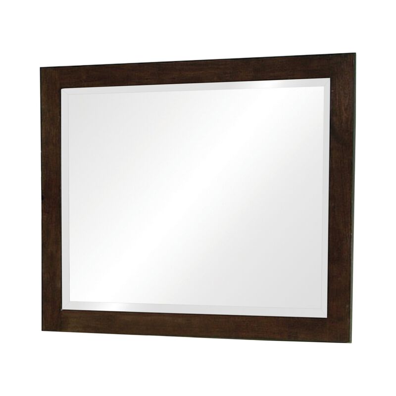 40 Inch Solid Wood Modern Mirror, Portrait, Framed, Cappuccino Brown-Benzara