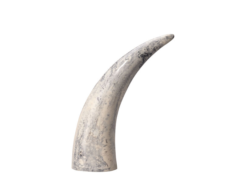 Variegated Horn