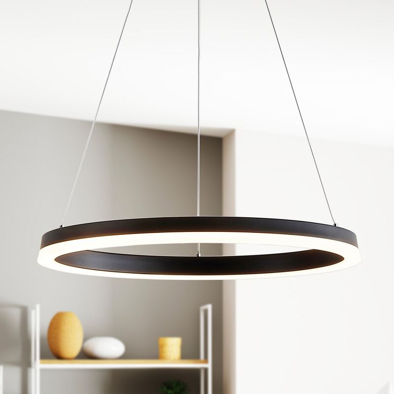 Baxter Modern Contemporary Aluminum Integrated LED Hoop Pendant