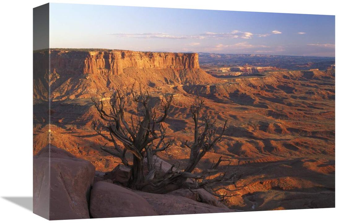 View from Green River overlook, Canyonlands National Park, Utah-Canvas Art-16x12