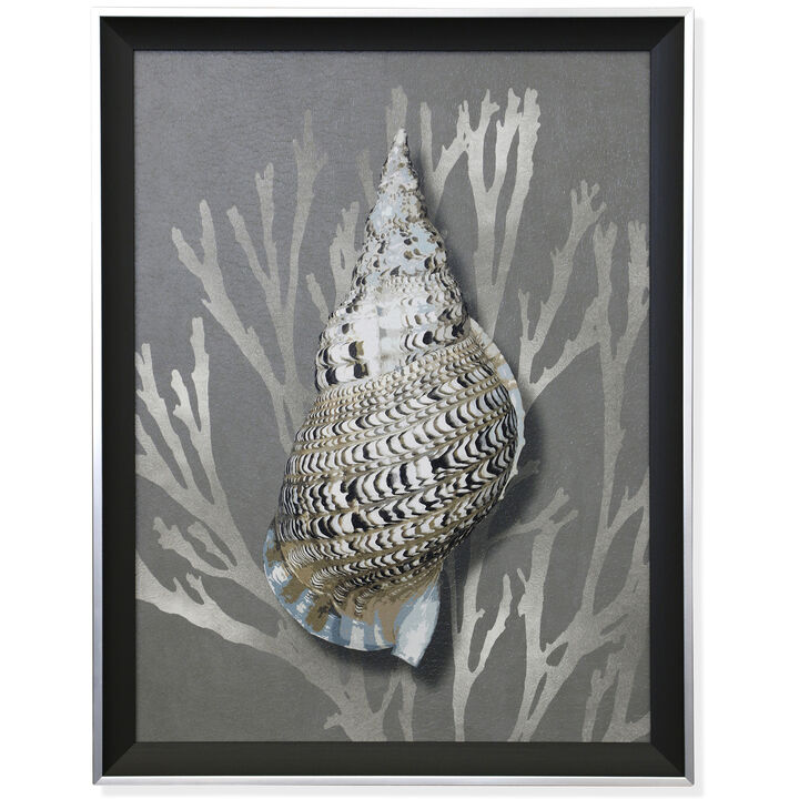 Silver Shell I