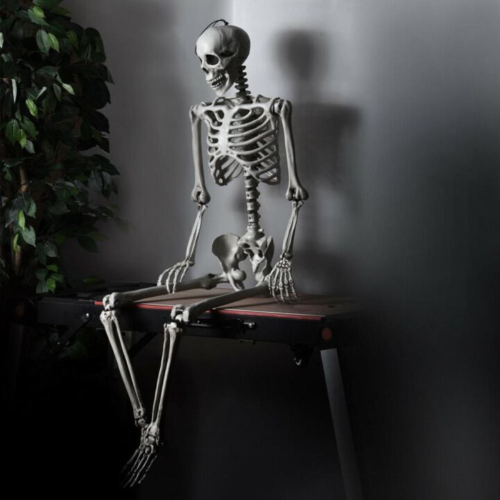 Hivvago 5.4 Feet Halloween Skeleton Life Size Realistic Full Body Hanging