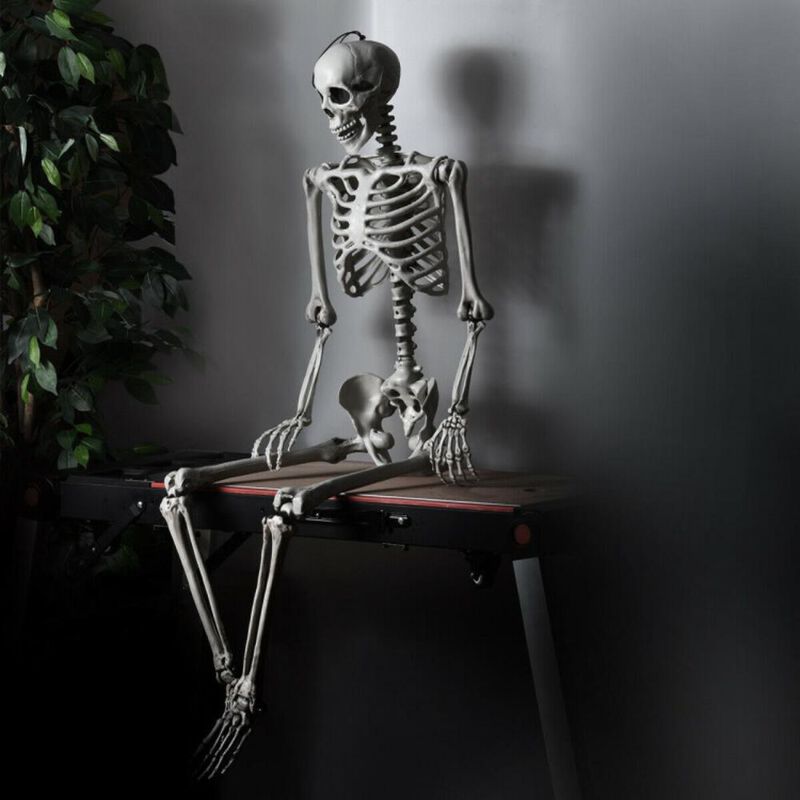 Hivvago 5.4 Feet Halloween Skeleton Life Size Realistic Full Body Hanging