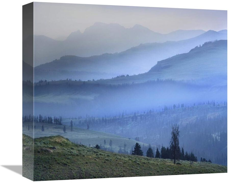 Mist over Absaroka Range, Yellowstone National Park, Wyoming-Canvas Art-16x14.24