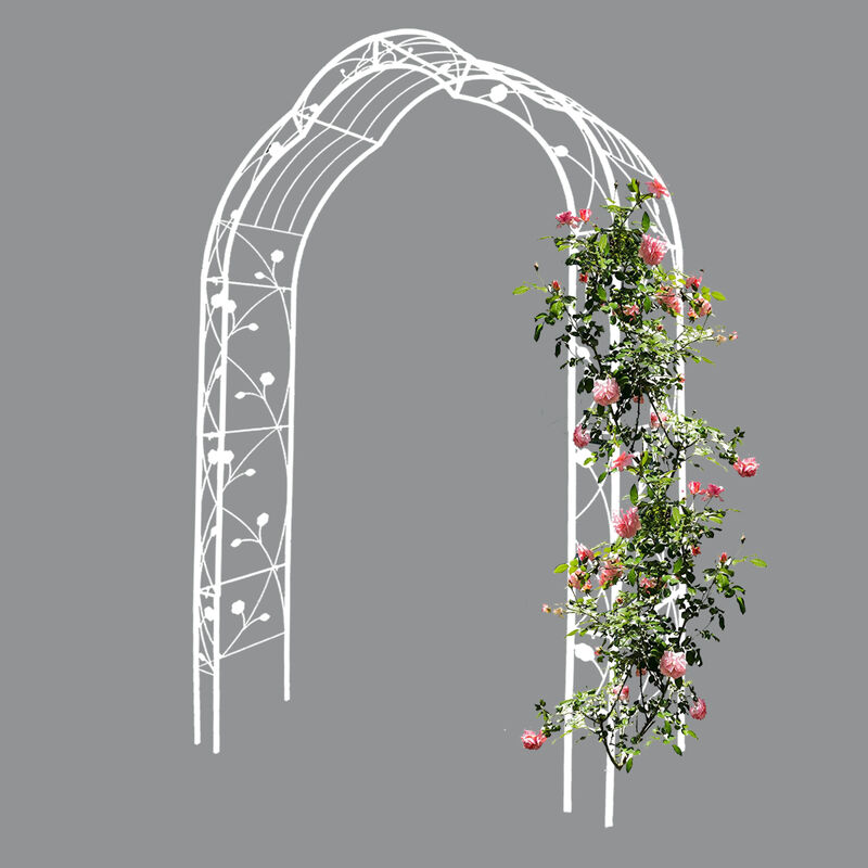 Streamdale Customizable Metal Garden Arch for Weddings and Events