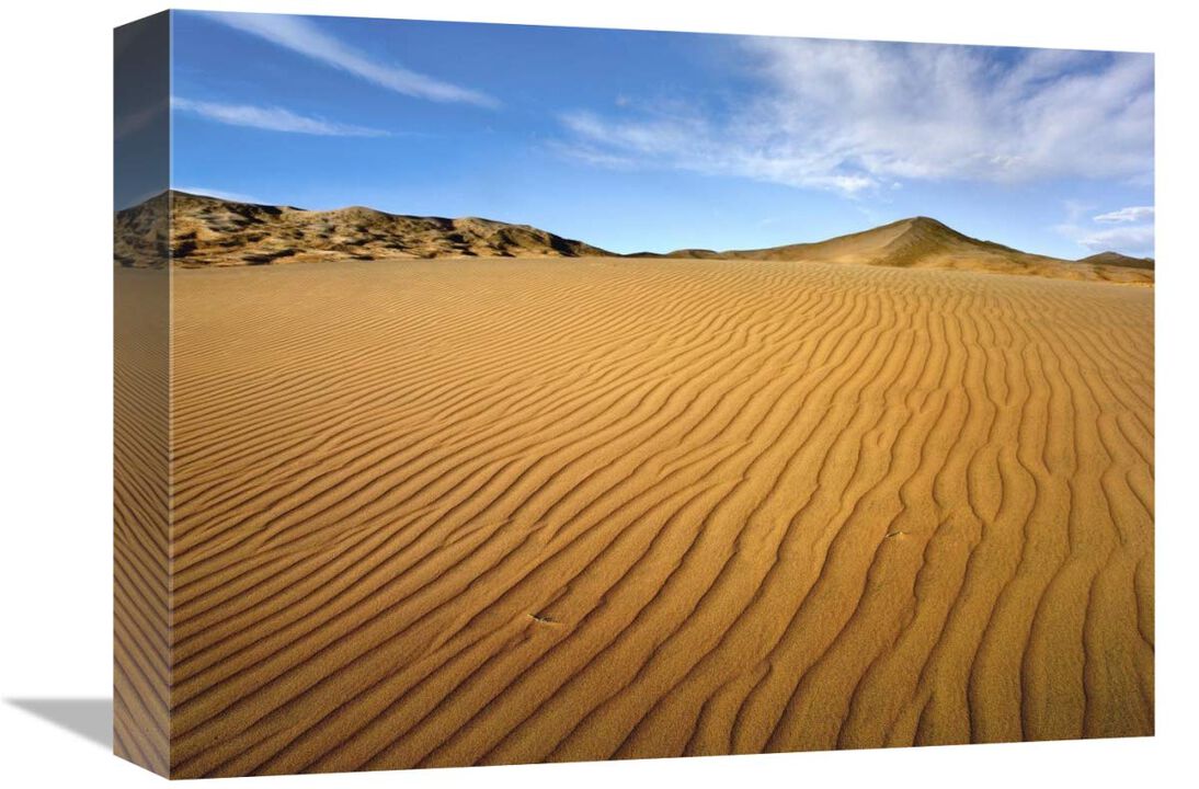 Wind ripples in Kelso Dunes, Mojave National Preserve, California-Canvas Art-16x12