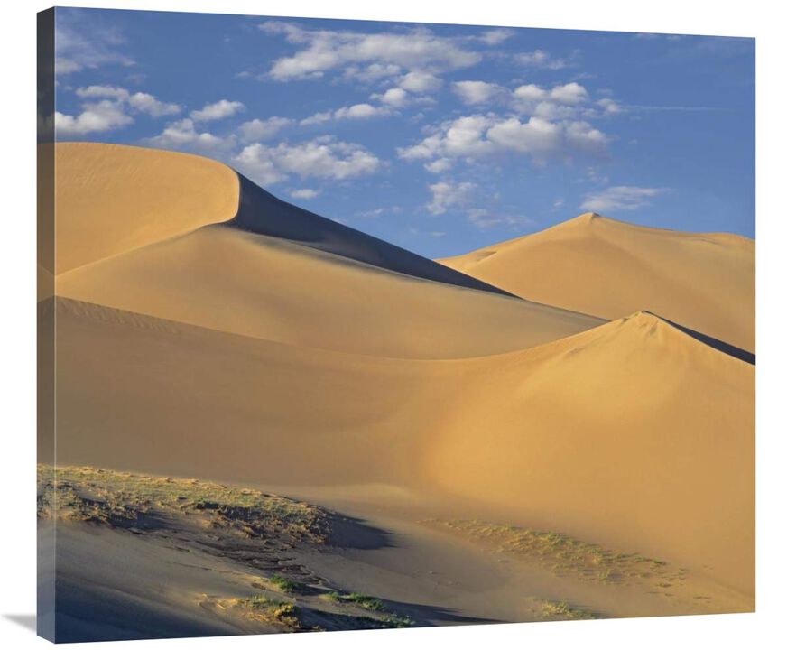 Sand dunes, Great Sand Dunes National Monument, Colorado-Canvas Art-36x31.32