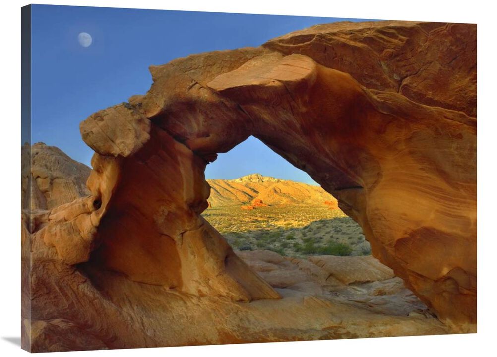Arch Rock and moon, Valley of Fire State Park, Nevada-Canvas Art-40x30
