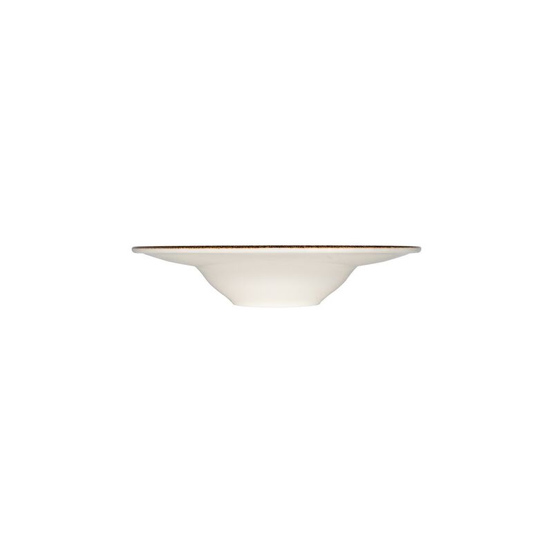 Tierra dia.11" h:2.5" 14 oz. Round Brown Porcelain Bowl (Set of 2)