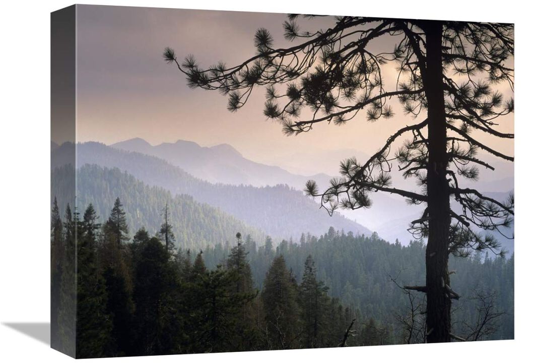 View over foothills to the west from Kings Canyon National Park, California-Canvas Art-16x12